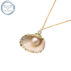 collier coquillage perle