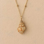 Collier coquillage triton
