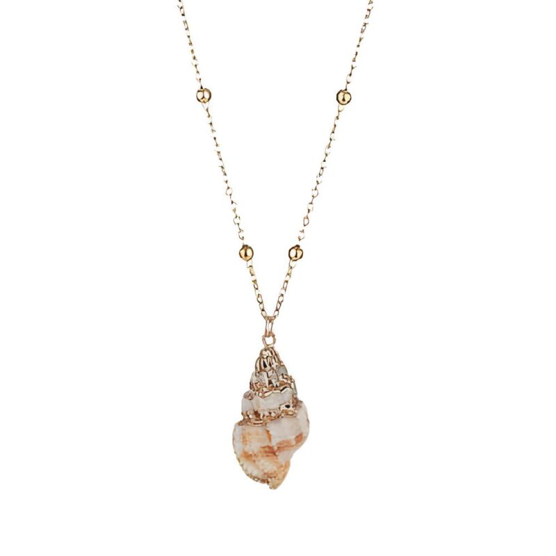 collier coquillage triton