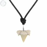 Collier dent de requin fossilisé